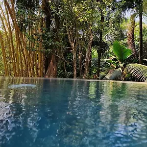 https://a-peace-in-paradise.maheislandhotels.com